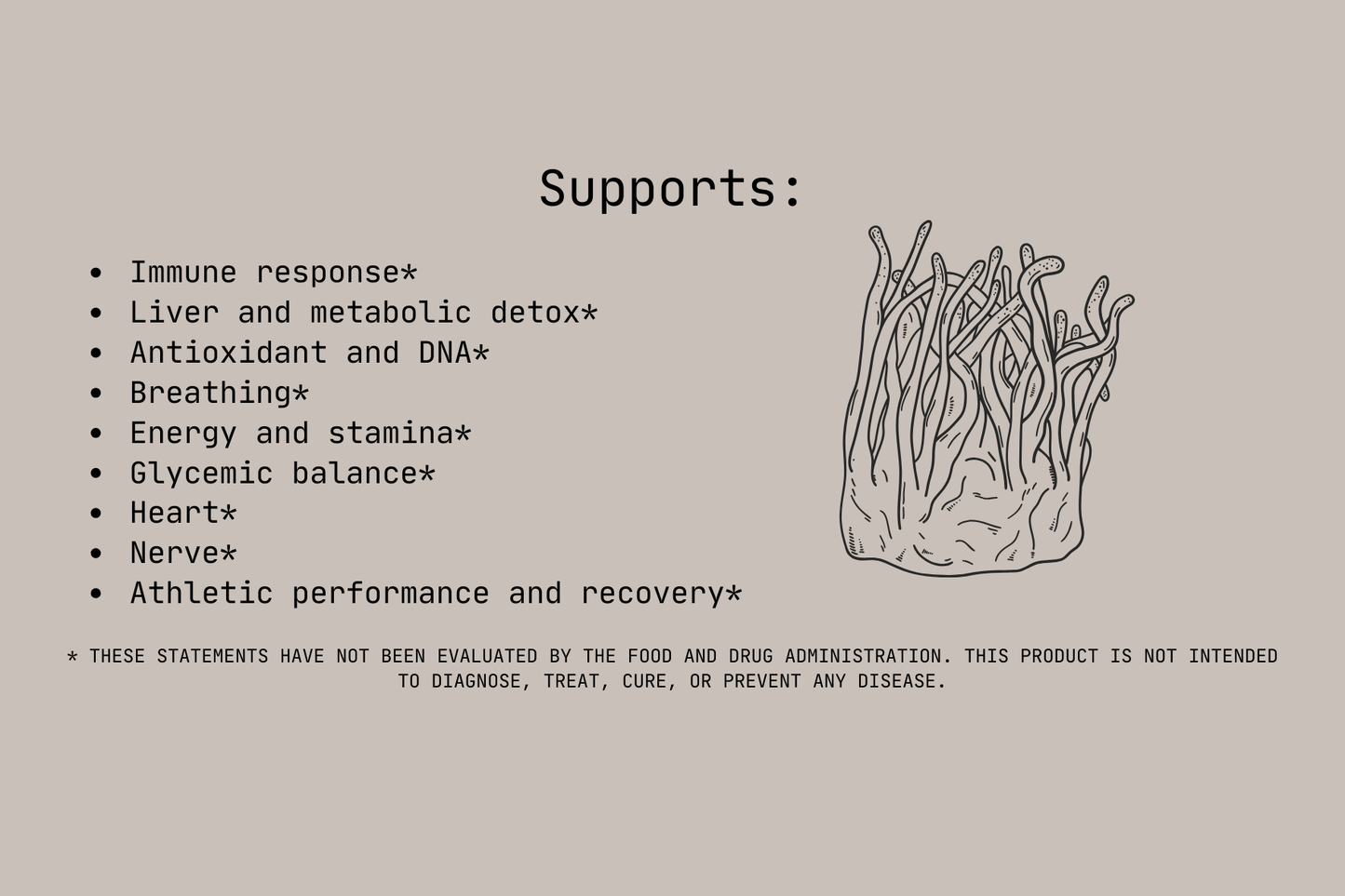 Cordyceps Capsules - Swamp Fox CompoundsCordyceps Capsules