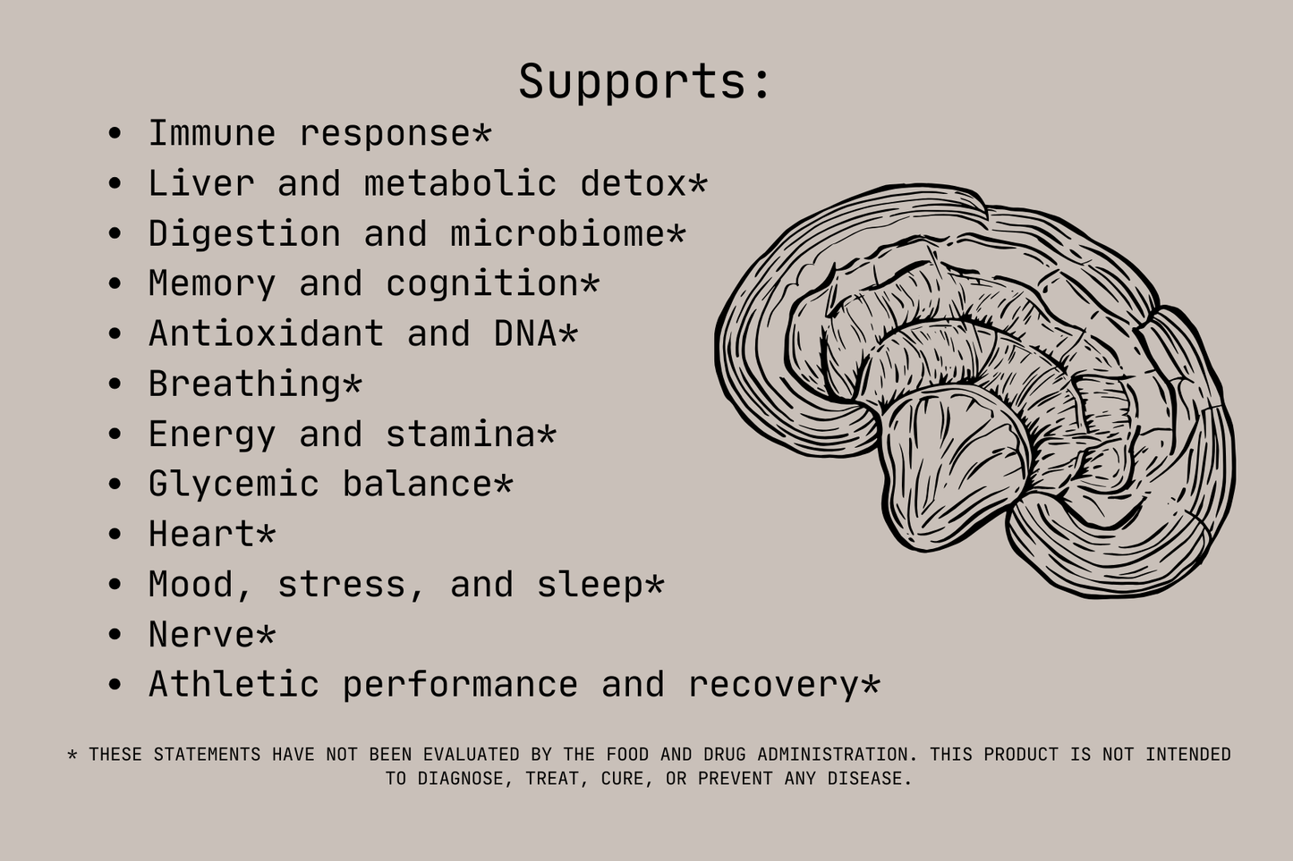 Reishi Capsules - Swamp Fox Compounds Reishi Capsules